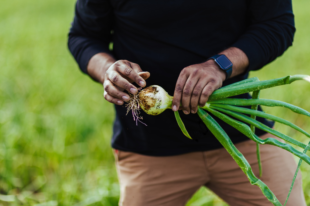 Man holding radish in field