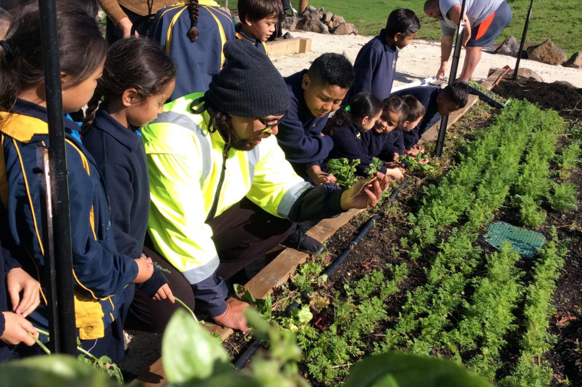 Māori man teaching tamariki about growing kai