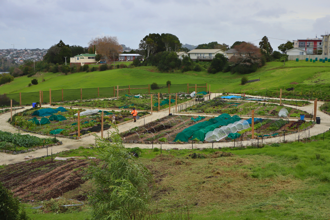 Community garden